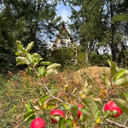 Vakantiehuis схованка Jaremtsje