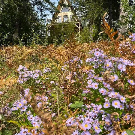 схованка Holiday home Yaremche