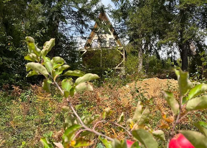 Tatil Evi схованка Yaremche