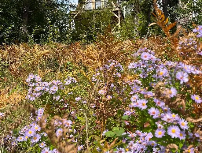 схованка Tatil Evi Yaremche