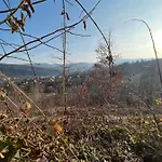 схованка